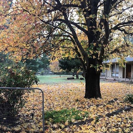 The Rocks Apartments ホールズギャップ エクステリア 写真