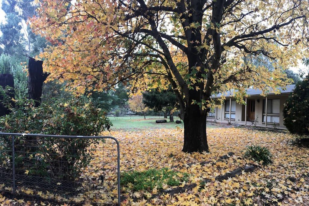 The Rocks Apartments ホールズギャップ エクステリア 写真